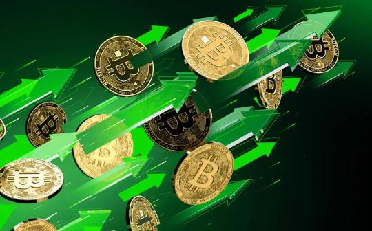 哪个钱包支持xch