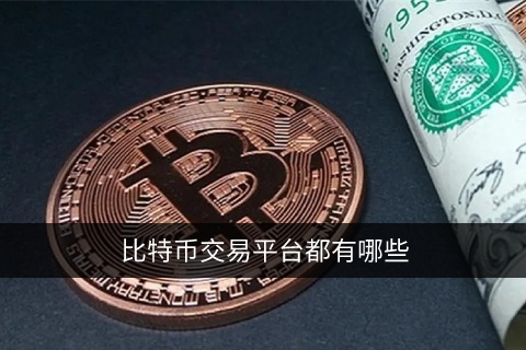 泰达币app手机下载 泰达币安卓钱包下载最新-第7张图片-欧易交易所