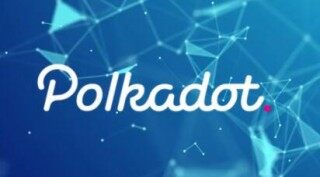 dot币客户端下载最新 dot币安卓安卓手机客户端