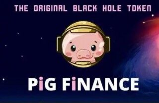 pig官方版下载APP pig官方手机安卓版