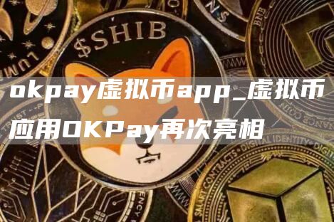 apppay虚拟币app_虚拟币应用OKPay再次亮相