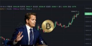 柴犬币升值空间预测(柴犬币2024年预测)