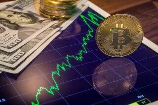 波卡币发行总量(dot波卡币总量10亿)