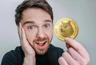 IDO超募1亿美元,比特币链游Bitcoin Cats为什么火?