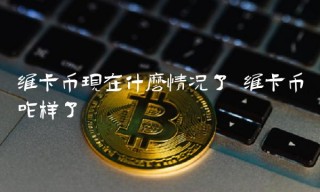 维卡币现在什么情况了 维卡币咋样了