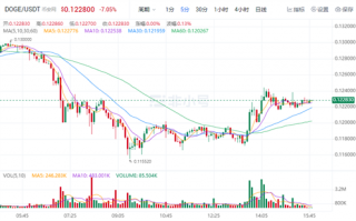 狗狗币官方最新资讯 DOGE今日最新价格