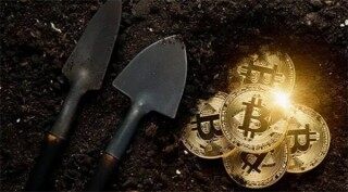 SHIB会不会成为主流币(SHIB会不会成为主流币)