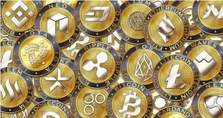 维卡币交易所新手下载地址 维卡币官方手机平台app