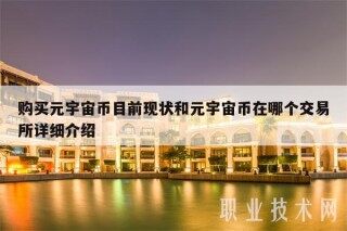 购买元宇宙币目前现状和元宇宙币在哪个交易所详细介绍