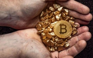 中本聪币最新消息:众筹情况(中本聪币最新消息)