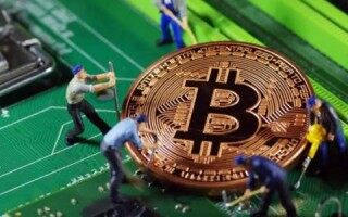 柚子币今日价格(柚子币今日价格是多少)