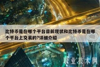 比特币是在哪个平台目前现状和比特币是在哪个平台上交易的?详细介绍