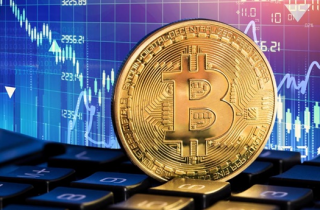 Shiba Inu 燃烧率飙升 400%