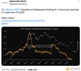 数据:持有超过1000枚比特币的地址数量创3年新低