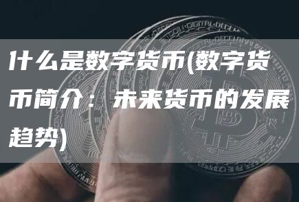 什么是数字货币 - 数字货币简介:未来货币的发展趋势