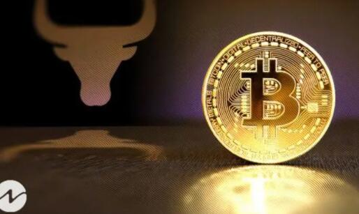 国家正规钱币交易平台(十大好用的钱币交易排名)