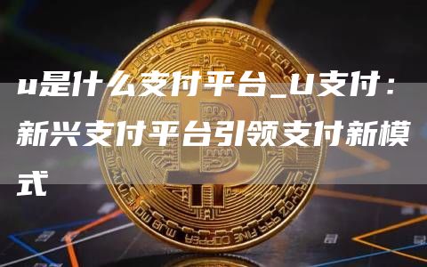 u是什么支付平台_U支付：新兴支付平台引领支付新模式